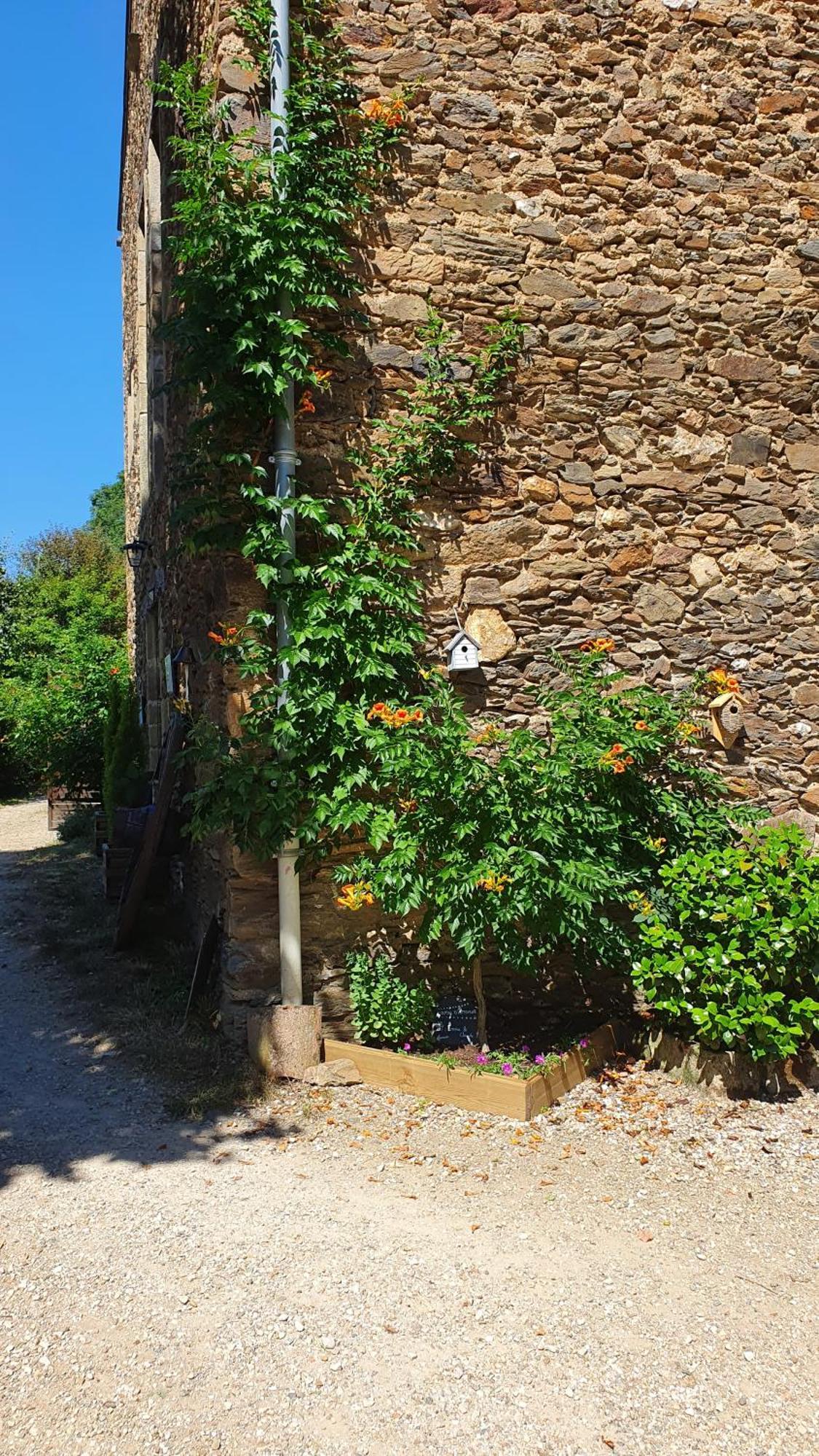La Ferme Des Andes - Gite L'Atelier Quins Exterior photo