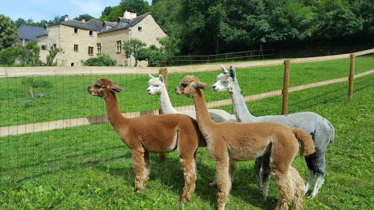 La Ferme Des Andes - Gite L'Atelier Quins Exterior photo