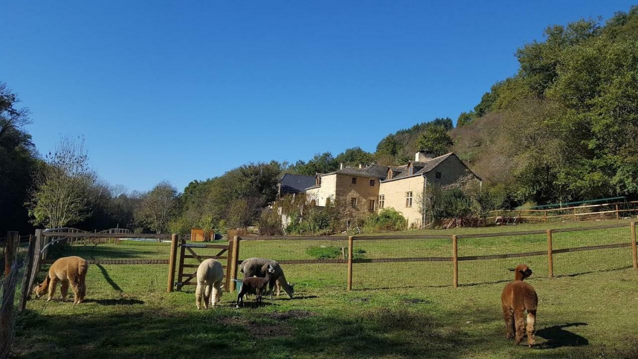 La Ferme Des Andes - Gite L'Atelier Quins Exterior photo